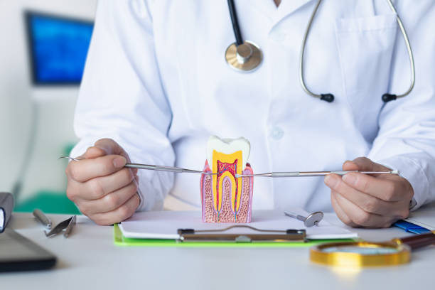 Best Emergency Root Canal Treatment in Farmer City, IL